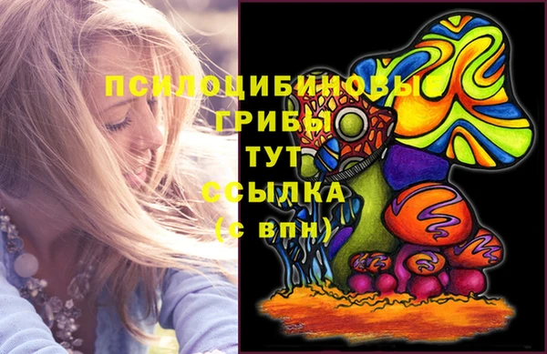 мескалин Арсеньев