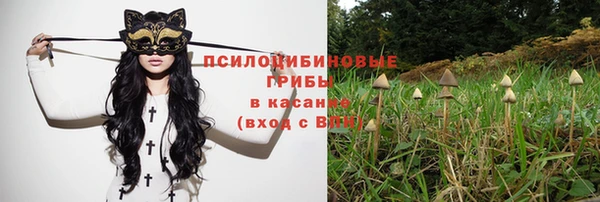 молекула духа Балахна