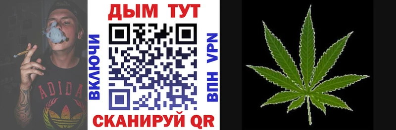 цена   Сольцы  Каннабис индика 